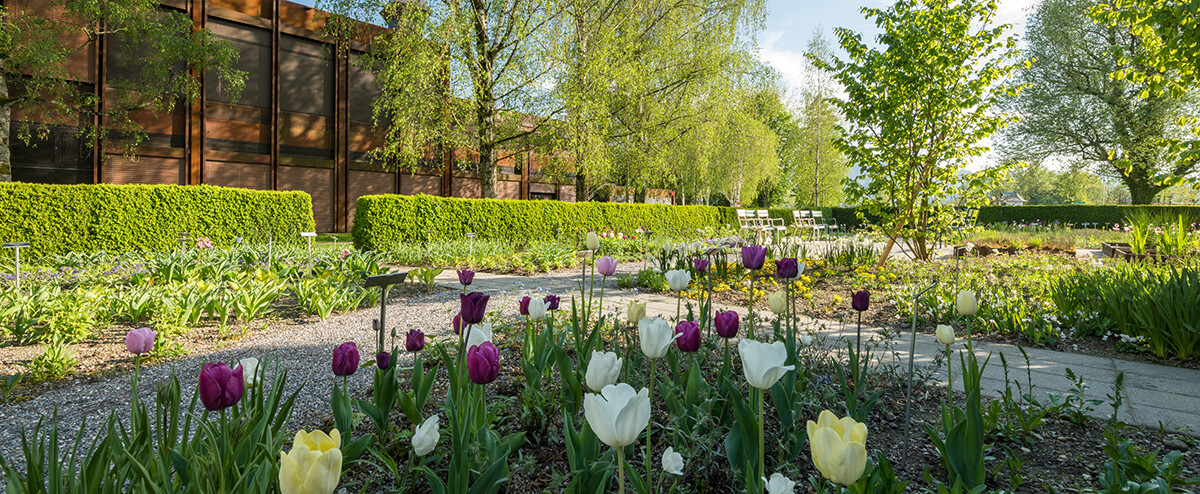 Campus Rapperswil