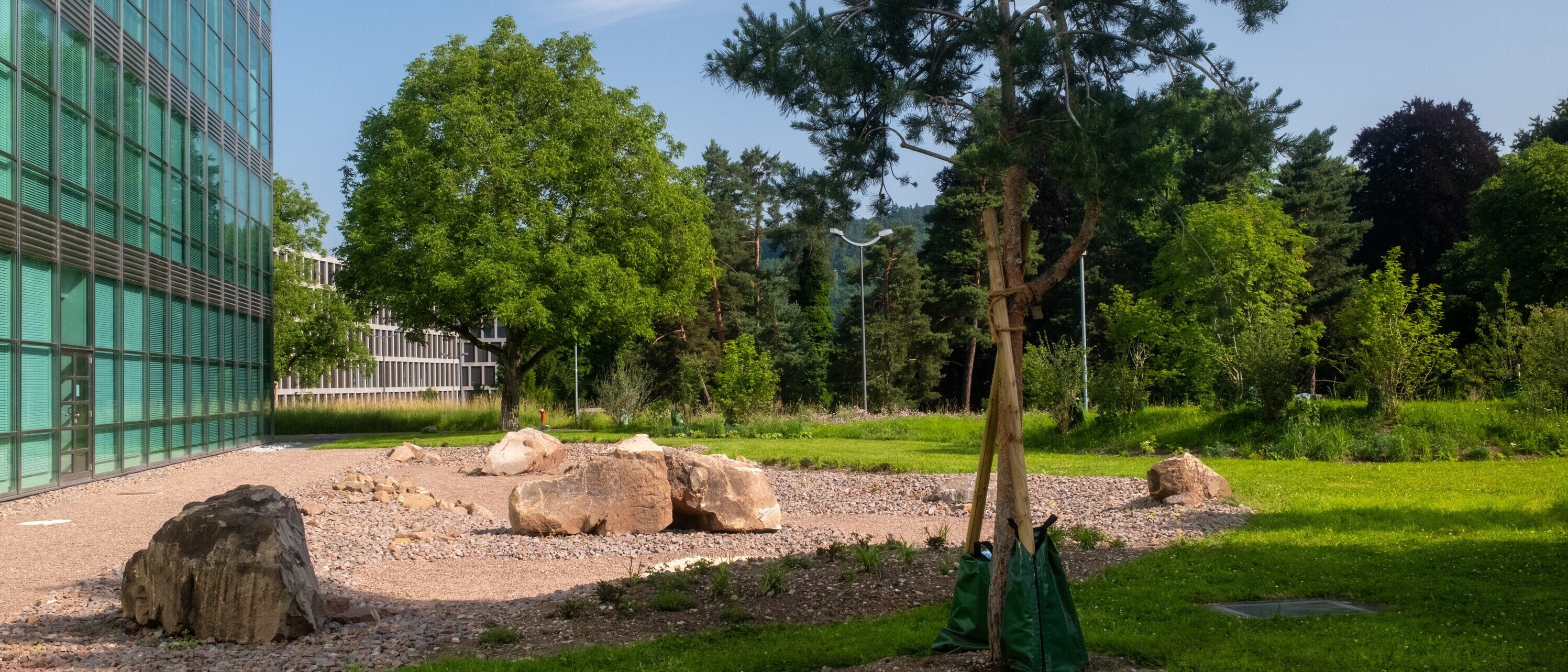 Marslandschaft auf dem Campus Brugg-Windisch der FHNW - gestaltet von Studierenden der Landschaftsarchitektur der OST (Foto: Sven Sari-Schnyder)