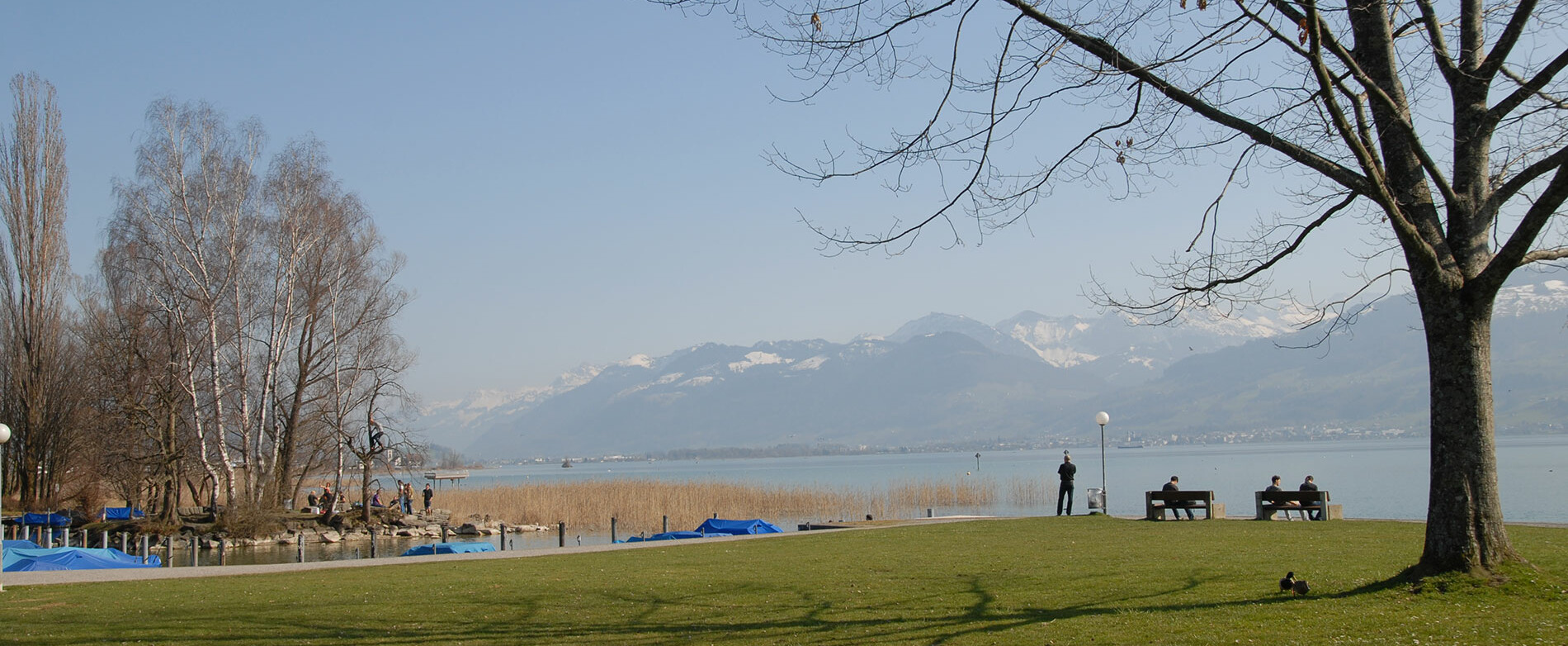 Der Campus Rapperswil liegt direkt am Zürichsee