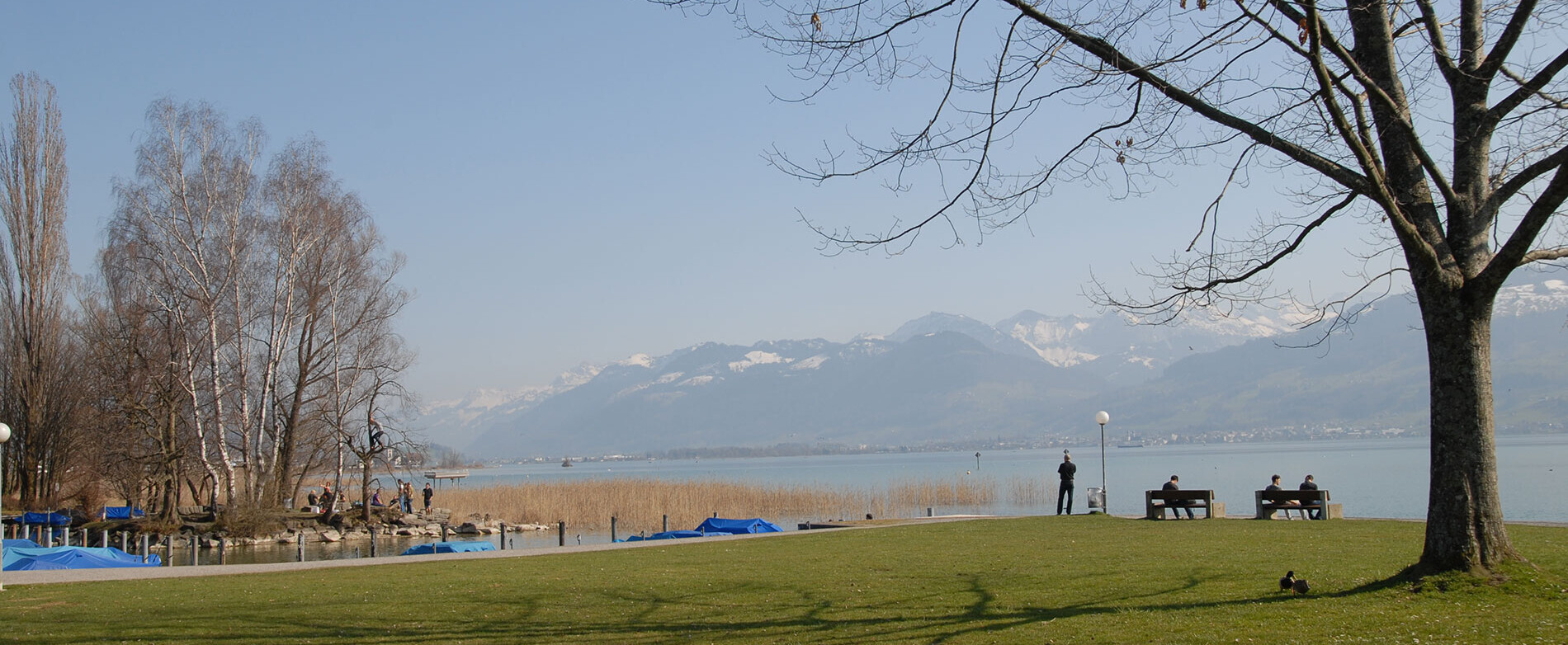 [Translate to English:] Der Campus Rapperswil liegt direkt am Zürichsee