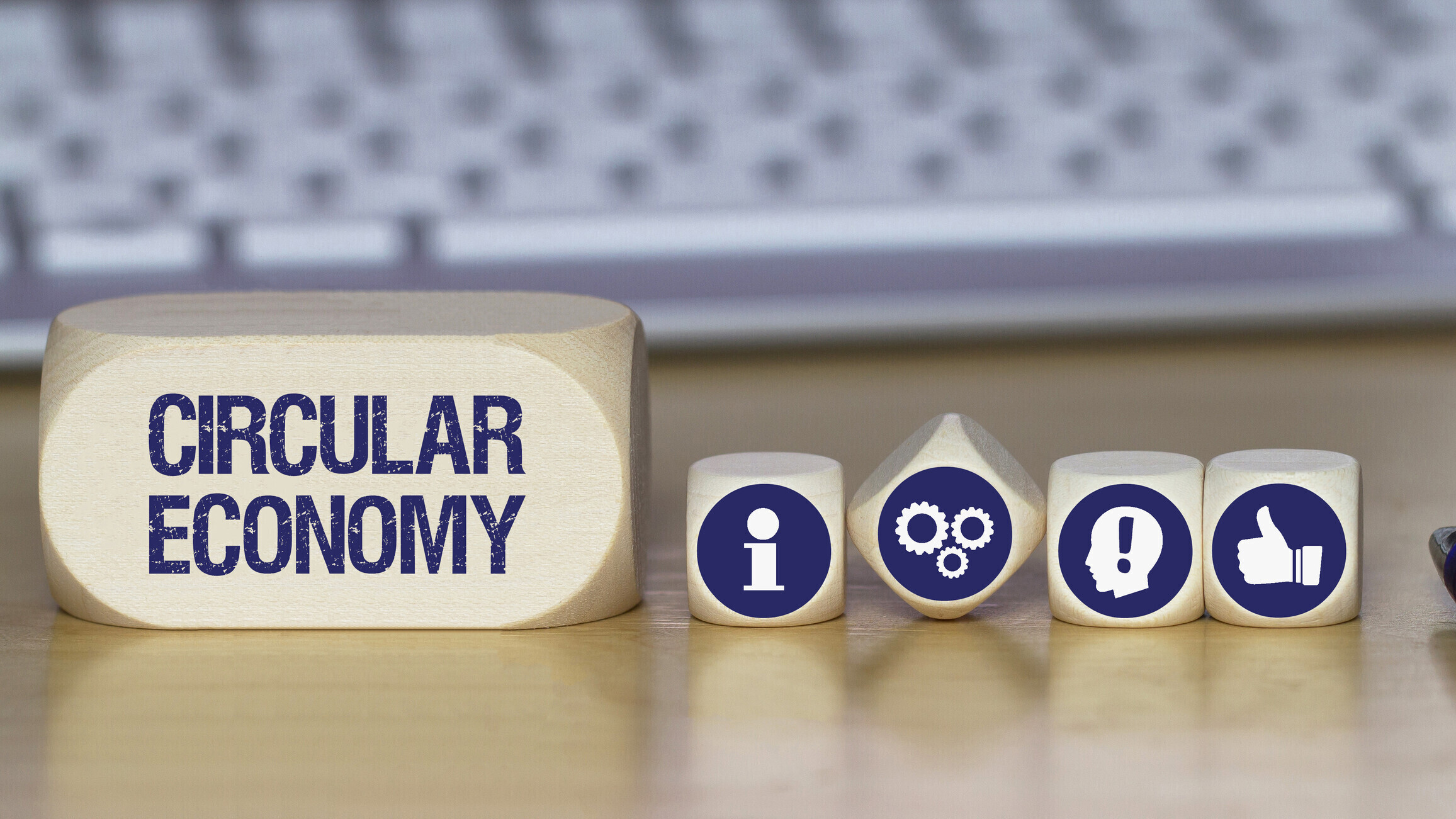Circular Economy