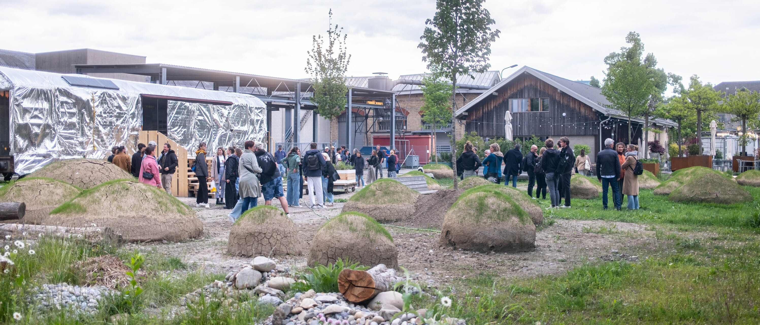 Studierende der Landschaftsarchitektur gestalten Brache Y in Zürich (Foto: Sven Sari-Schnyder)
