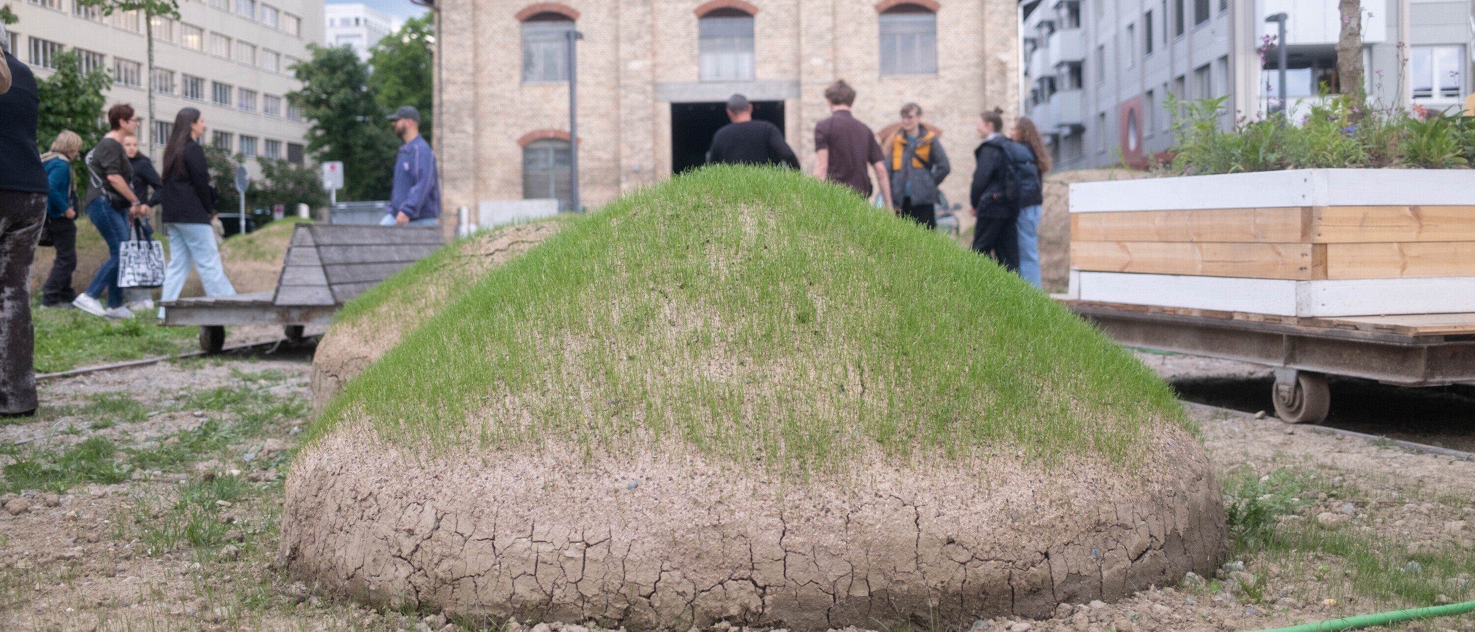 Studierende der Landschaftsarchitektur gestalten Brache Y in Zürich (Foto: Sven Sari-Schnyder)