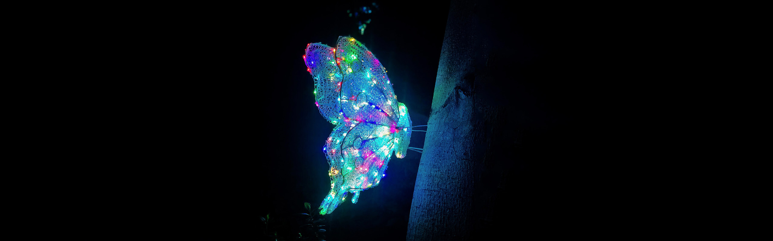 Ein leuchtender Schmetterling vor schwarzem Hintergrund. Das Logo des Age Innovation Prize.