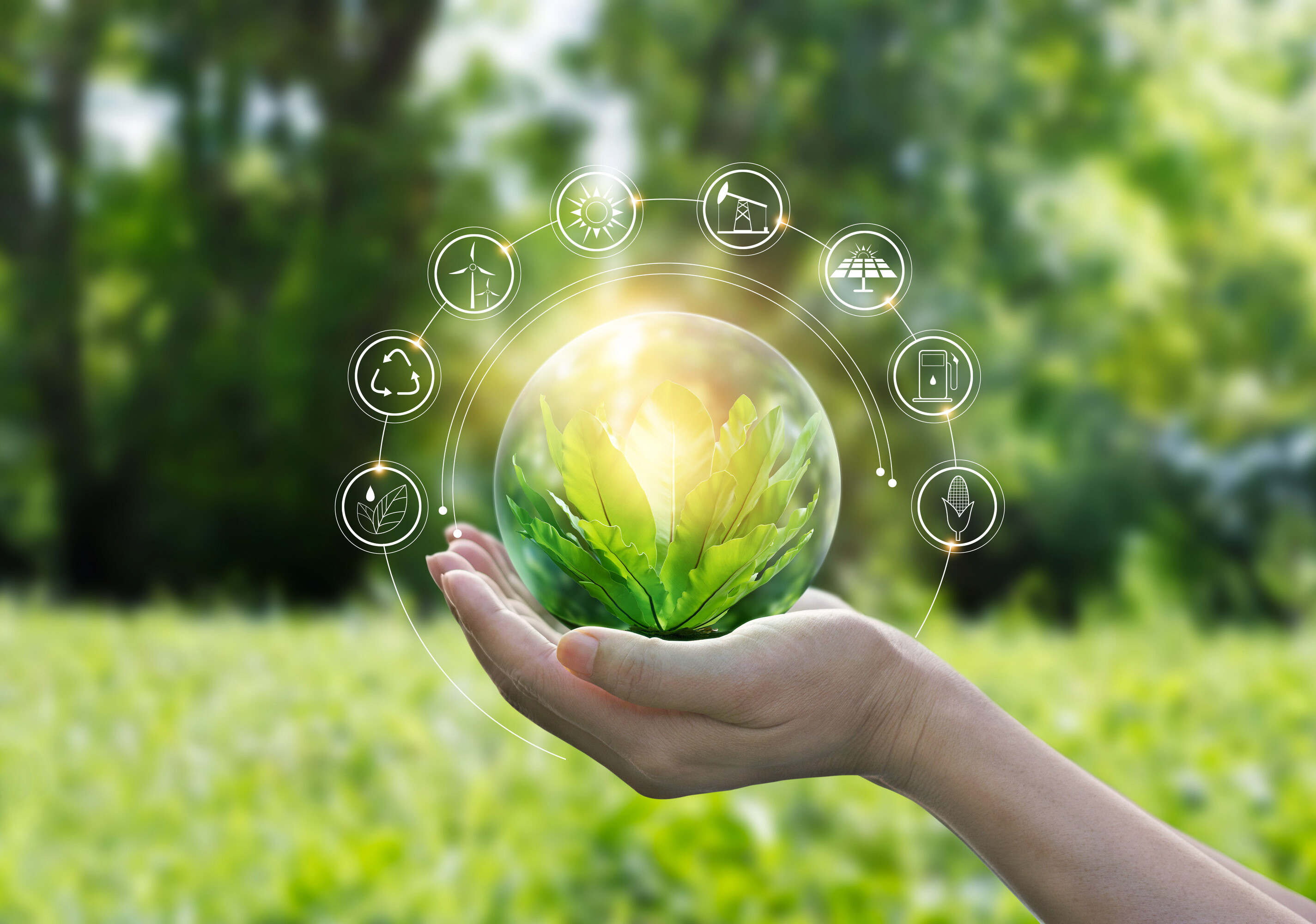 Hands protecting globe of green tree on tropical nature summer b