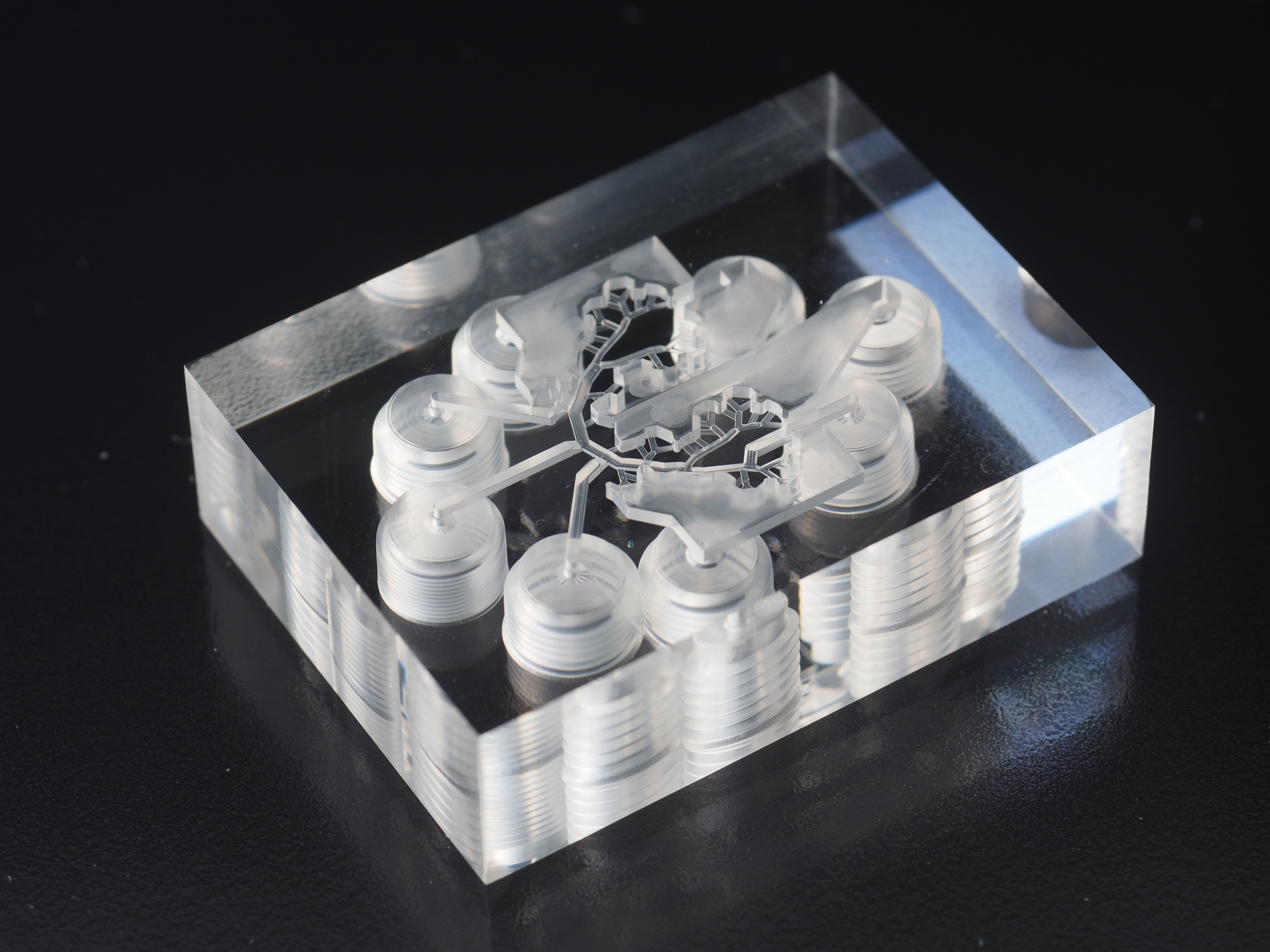 [Translate to English:] Courtesy CorFlow Therapeutics AG, Baar (ZG), CH