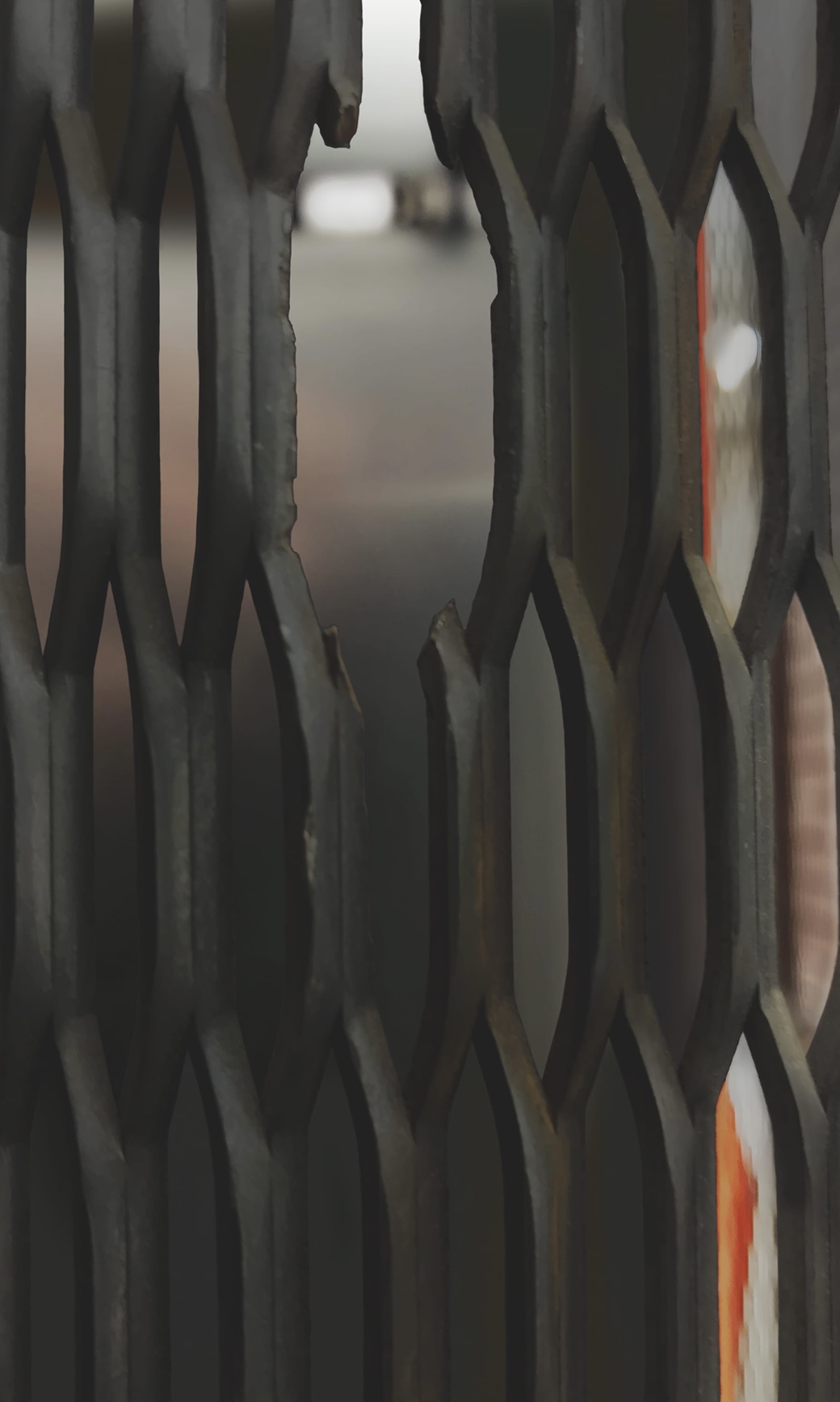 Ilona Ruegg, The Unseen – Restricted, 2021.